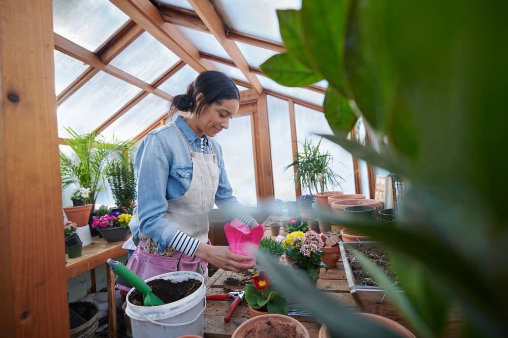 Woman planting plants in a greenhouse.